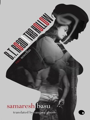 cover image of B.T. Road / the Hollow
